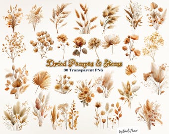 30 Dried Pampas & Stems Clipart – Neutral Boho Floral PNG Bundle for Decor Crafts