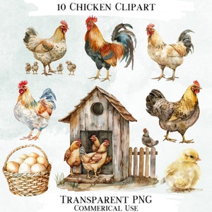 Lot de poulets clip art aquarelle, dessins PNG transparents, images décoratives, créations numériques à usage commercial