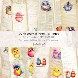 Pájaros divertidos: descarga digital / Kit digital / Diseños altos y delgados / Moda vintage / 15 páginas / Kit de diario basura / Diario alto y delgado