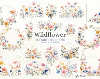Wildflower Clipart Bundle, Watercolor Floral Graphics PNG (Digital Download)