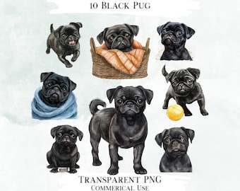 Watercolor Pug Clipart Bundle, Transparent PNG Graphics (Digital Download)