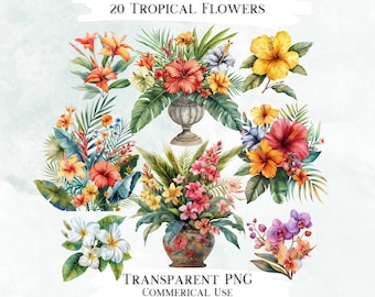 Watercolor Tropical Flower Clipart Bundle, PNG Designs (Digital Download)