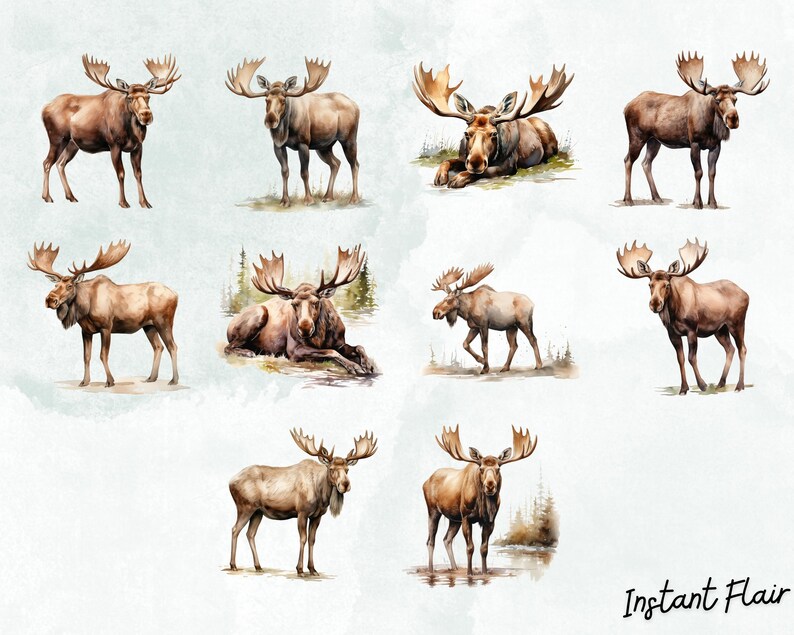 Moose Watercolor Clip Art Bundle, PNG Designs, Decorative Images, Digital Designs for Commercial Use image 3