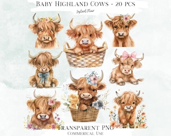 Watercolor Baby Highland Cow Clipart, 20 PNG Graphics (Digital Download)