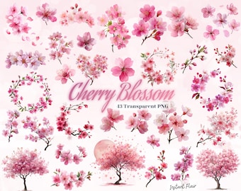 Watercolor Cherry Blossom Clipart | Sakura Flowers PNG Bundle (Digital Download)
