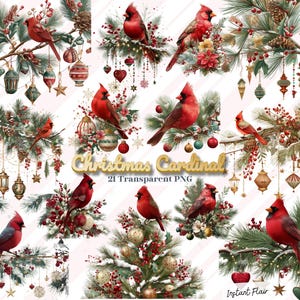 Op de afbeelding: Een verzameling van 21 transparante PNG-afbeeldingen met levendige rode kardinalen die op feestelijke kersttakken zitten. De afbeeldingen bevatten ornamenten, bessen en de tekst "Christmas Cardinal".