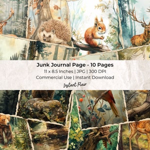 Animali del bosco: foglio di collage / kit di carta per album digitale / download digitale istantaneo / diario d'arte / diario spazzatura / effimeri digitali