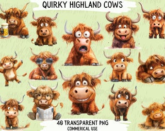 Schrullige Highland Kuh Clipart Bundle, transparente PNG Designs (digitaler Download)