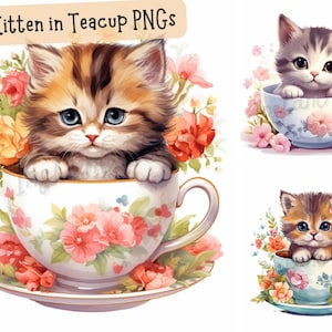 Kitten in Teacup Clip Art Bundle 16 Disegni PNG Acquerello Carino Artistico Bambino Gatto Adorabile Immagini Decorative Disegni Digitali per Uso Commerciale