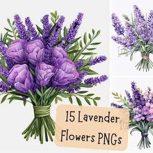 Paquete de 15 imágenes prediseñadas de flores de lavanda en formato PNG, lindas imágenes decorativas artísticas de color morado con acuarela, diseños digitales para uso comercial