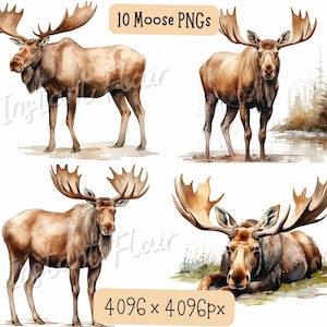 Moose Watercolor Clip Art Bundle, PNG Designs, Decorative Images, Digital Designs for Commercial Use