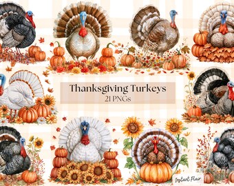 May include: A digital collection of watercolor illustrations featuring turkeys, pumpkins, and sunflowers. The text Thanksgiving Turkeys 21 PNGs is centered in the middle. The images display various turkey poses with autumn foliage and gourds.