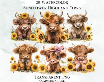 May include: 20 Watercolor Sunflower Highland Cows. Digital clipart of cute cartoon Highland cows with sunflowers.  Transparent PNG files for commercial use.