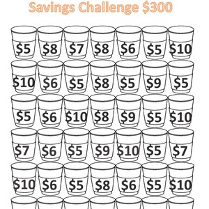 300 Dollar Savings Challenge