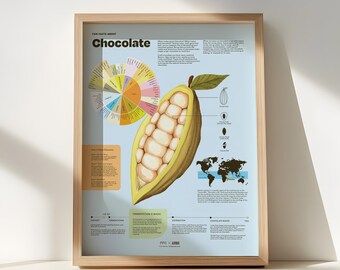 Chocolate Fun Facts Print, Colorful Food Poster, Informative Kitchen Wall Art, Cacao Infographic Artwork