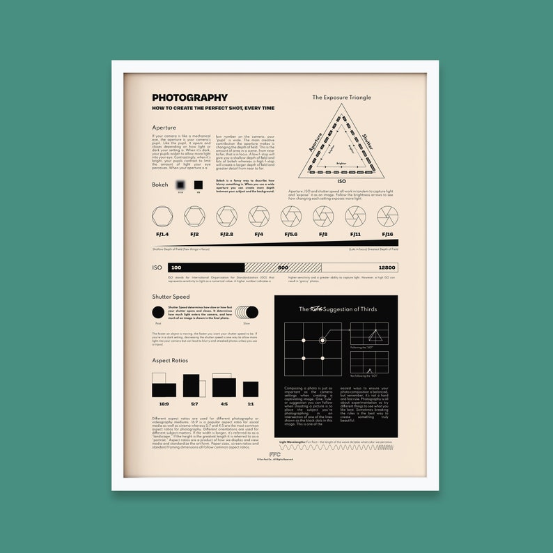 Manual Photography Guide: DSLR Cheat Sheet Poster, white wood frame