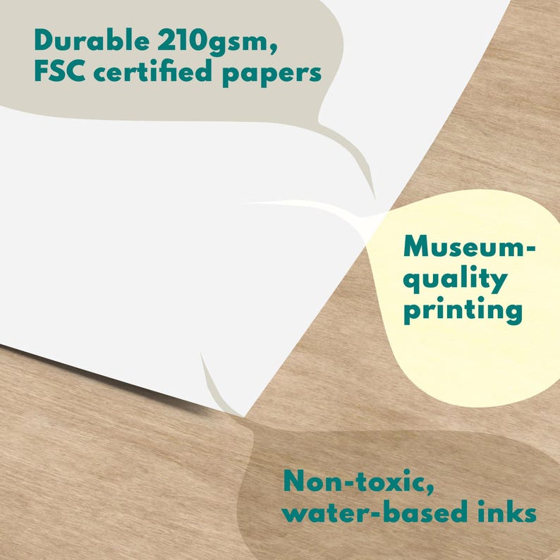 specs of paper stocks used by fun fact co. including - non-toxic, water-based inks, museum-quality printing and 210gsm FSC papers