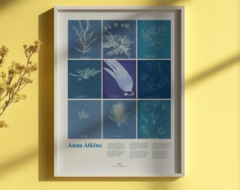 Anna Atkins Cyanotype Print, Botanical Illustration Poster, Victorian Science Art, Blue Plant Drawing Wall Art, Pressed Flowers Nature Decor