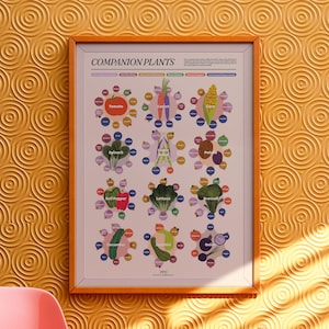 May include: A colorful illustrated poster titled "Companion Plants" shows a chart of different vegetables and their compatible growing partners. The chart is divided into 12 sections, each featuring a different vegetable, such as tomato, carrot, corn, spinach, green beans, potato, bell pepper, lettuce, broccoli, cucumber, zucchini, and onion.