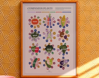 Permaculture Guild Poster, Apple Tree Companion Planting, Botanical Garden  Chart, Regenerative Agriculture Art, Food Forest Decor 47 - Etsy