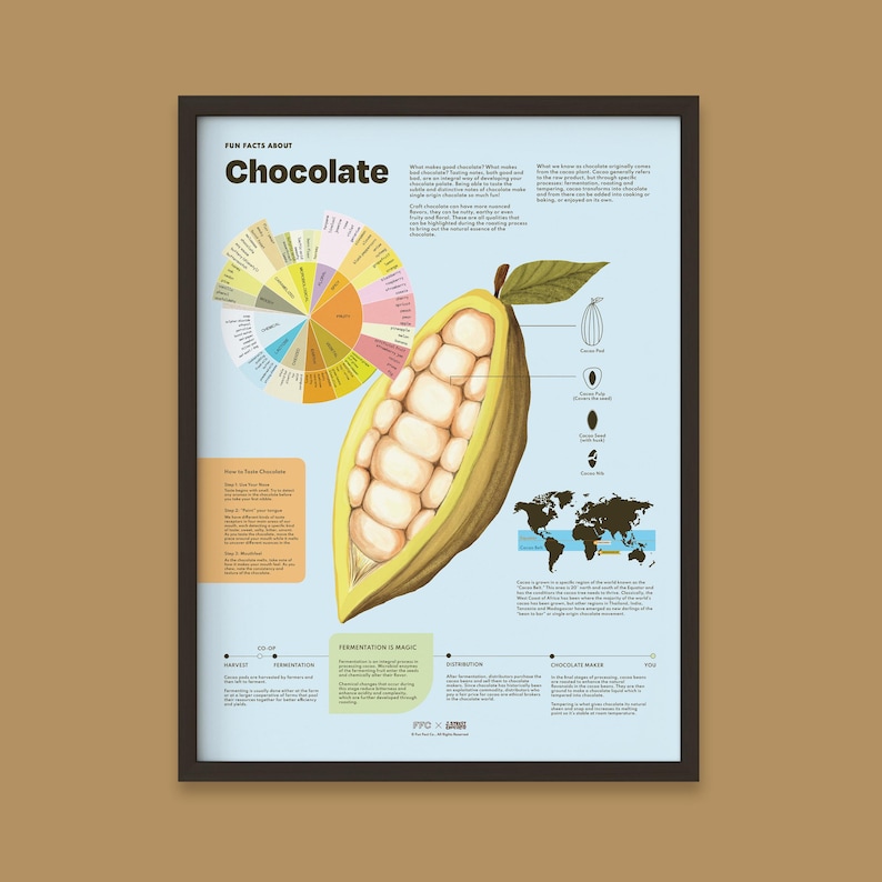 Chocolate Fun Facts Print, Colorful Food Poster, Informative Kitchen ...