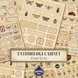 以下が含まれることがあります： 様々な蝶や甲虫の昆虫学的イラスト、標本ラベル、および「Entomology Cabinet - Fussy Cuts」や「Specimen Accession No. 08473」といった管理用テキストが印刷された、ヴィンテージスタイルの紙シートのコレクション。