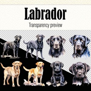 May include: Watercolor illustrations of Labrador Retrievers in various poses. The illustrations include black and yellow Labrador Retrievers, both adult and puppy dogs.