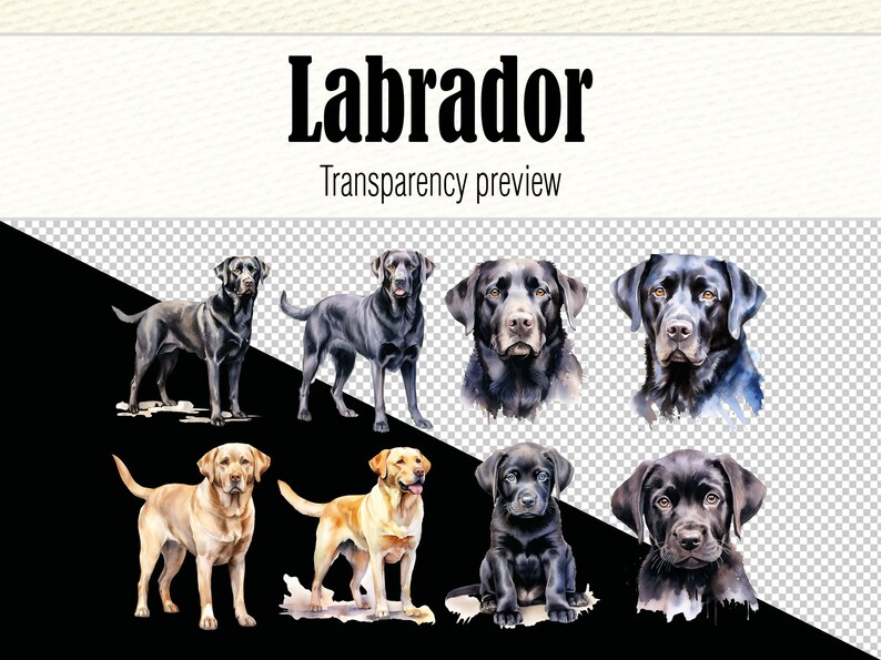May include: Watercolor illustrations of Labrador Retrievers in various poses. The illustrations include black and yellow Labrador Retrievers, both adult and puppy dogs.