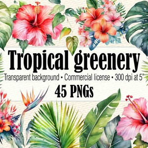 Tropical Bouquet Wedding Greenery PNG, Hibiscus PNG, Tropical Leaves PNG, Monstera Clipart, Watercolor Palm Fronds Clipart
