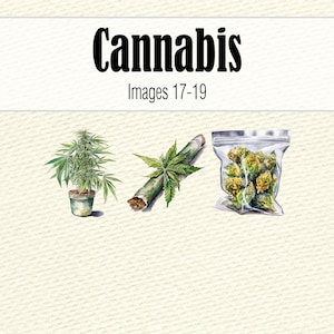 Cannabis Clipart-Dateien, Aquarell Hanf Clipart Bundle, Marihuana PNG Wandkunst, Aquarell Cannabis Scrapbook Art, Pot Leaf Bild 7