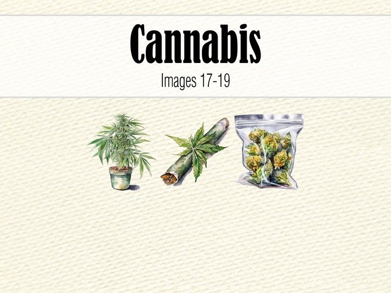 Cannabis Clipart-Dateien, Aquarell Hanf Clipart Bundle, Marihuana PNG Wandkunst, Aquarell Cannabis Scrapbook Art, Pot Leaf Bild 7