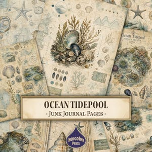 May include: A collection of vintage-style paper sheets featuring illustrations of seashells, starfish, crabs, and seaweed. The pages include scientific diagrams, handwritten notes, and the text "OCEAN TIDEPOOL - JUNK JOURNAL PAGES -" and "INDIGOINK PRESS".
