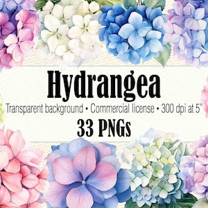 Watercolor Hydrangea Clipart, Watercolor Blue Pink Hydrangea Clipart, Hydrangea Painting Wedding Clipart, Hydrangea Printables PNG