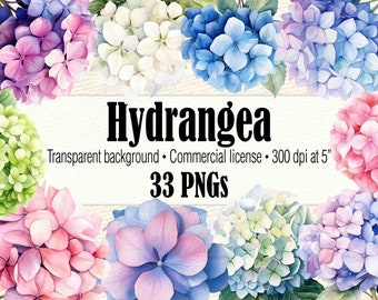 Watercolor Hydrangea Clipart, Watercolor Blue Pink Hydrangea Clipart, Hydrangea Painting Wedding Clipart, Hydrangea Printables PNG