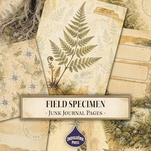 May include: A collection of vintage-style junk journal pages featuring botanical illustrations of ferns, tree roots, and compasses on aged parchment paper. The text "FIELD SPECIMEN - JUNK JOURNAL PAGES -" is centered in a rectangular frame.