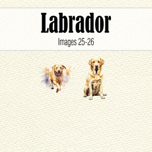 Watercolor Clipart Labrador Retriever Dog Mom PNG, Watercolor Black Lab PNG, Labrador Head Dog Clipart, Chocolate Labrador Puppy Clipart image 8