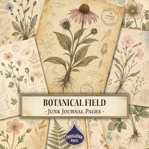 Botanical Field Junk Journal Pages, Vintage Botanical Specimen, Pressed Flower, Luggage Tag, Junk Journal Printable, Digital Download
