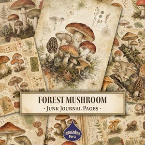 Puede incluir: Una colección de hojas de papel de estilo vintage con ilustraciones botánicas de varios hongos, helechos y musgos. Las páginas tienen una textura envejecida con el texto FOREST MUSHROOM - JUNK JOURNAL PAGES - y un logotipo de IndigoInk Press.