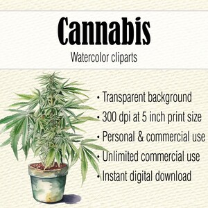 Cannabis Clipart-Dateien, Aquarell Hanf Clipart Bundle, Marihuana PNG Wandkunst, Aquarell Cannabis Scrapbook Art, Pot Leaf Bild 2