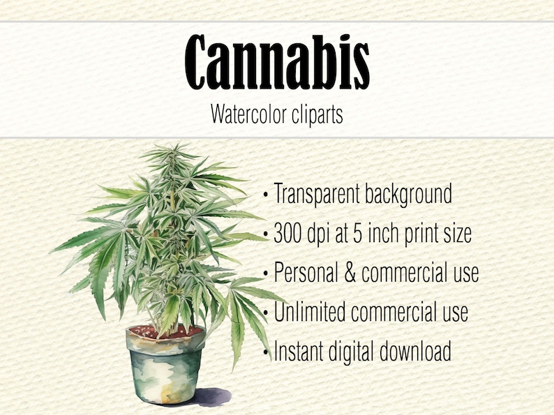 Cannabis Clipart-Dateien, Aquarell Hanf Clipart Bundle, Marihuana PNG Wandkunst, Aquarell Cannabis Scrapbook Art, Pot Leaf Bild 2