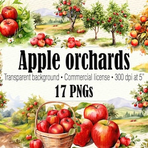 Imágenes Prediseñadas de huerto de manzanas, imágenes prediseñadas de manzano, imágenes prediseñadas de jardín de recolección de manzanas, imágenes prediseñadas de frutas PNG de Apple, imágenes prediseñadas de otoño imprimibles de Apple, imágenes prediseñadas de otoño