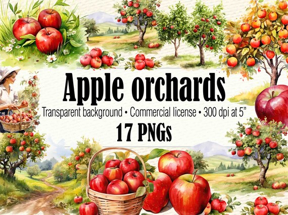 Apple Orchard Clipart, Apple Tree Clipart Apple Picking Garden Clipart, Apple PNG Fruit Clipart, Apple Printable Fall Clipart Autumn Clipart