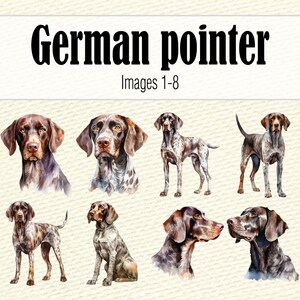 Clipart de pointeur allemand aquarelle, aquarelle chien Clipart, Portrait de chien, chien PNG, peinture de chien pointeur allemand à poil court, chien mignon Clipart image 5