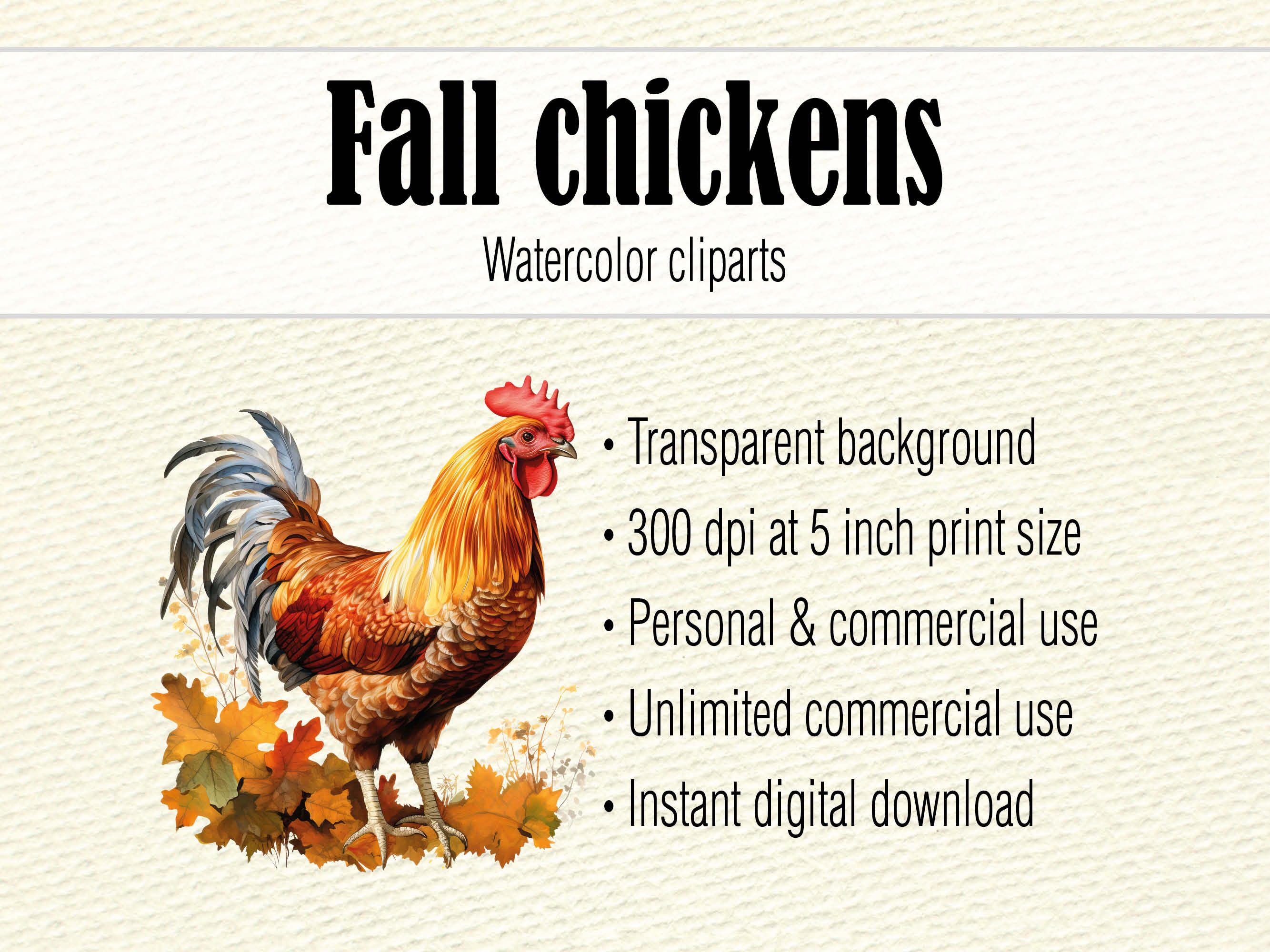 Fall Chicken Png, Watercolor Chicken Sublimation, Farm Animals Png ...