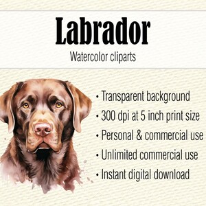 Watercolor Clipart Labrador Retriever Dog Mom PNG, Watercolor Black Lab PNG, Labrador Head Dog Clipart, Chocolate Labrador Puppy Clipart image 2