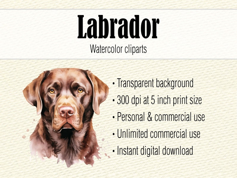 Watercolor Clipart Labrador Retriever Dog Mom PNG, Watercolor Black Lab PNG, Labrador Head Dog Clipart, Chocolate Labrador Puppy Clipart image 2