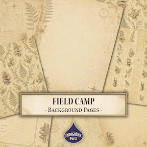 May include: A collection of vintage-style paper sheets featuring beige parchment textures, botanical illustrations of ferns, mushrooms, and insects, topographic map lines, and a compass rose. The text reads FIELD CAMP - BACKGROUND PAGES.