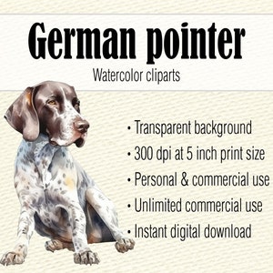 Clipart de pointeur allemand aquarelle, aquarelle chien Clipart, Portrait de chien, chien PNG, peinture de chien pointeur allemand à poil court, chien mignon Clipart image 2