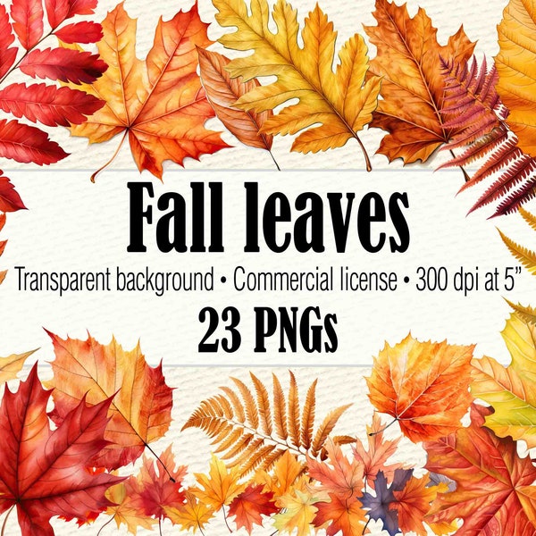 Fall Leaves Clipart, Fall Border PNG, Fall Leaves PNG, Watercolor Fern Clipart, Autumn Leaves PNG, Maple Leaf, Oak Leaf, Fall Clipart