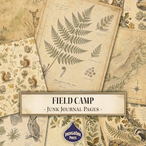 May include: A collection of vintage-style paper sheets featuring botanical and wildlife illustrations, including a fern labeled Dryopteris filix-mas, squirrels, an owl, and topographic maps with the text FIELD CAMP - JUNK JOURNAL PAGES.